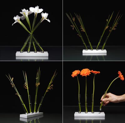 AdaptationVases2