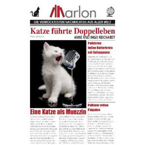 Katze